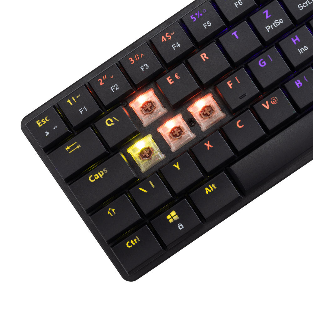 WHITE_SHARK product, WHITE SHARK_NAGAMAKI B US BROWN.SW_4__comelsoft.com_, Comel Soft Multimedia, Ltd.